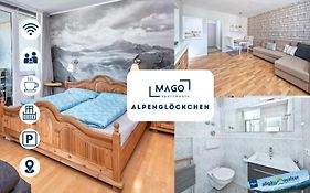 Alpenglöckchen Zentral für 6